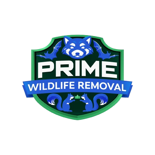 Wildlife Removal Calhoun County